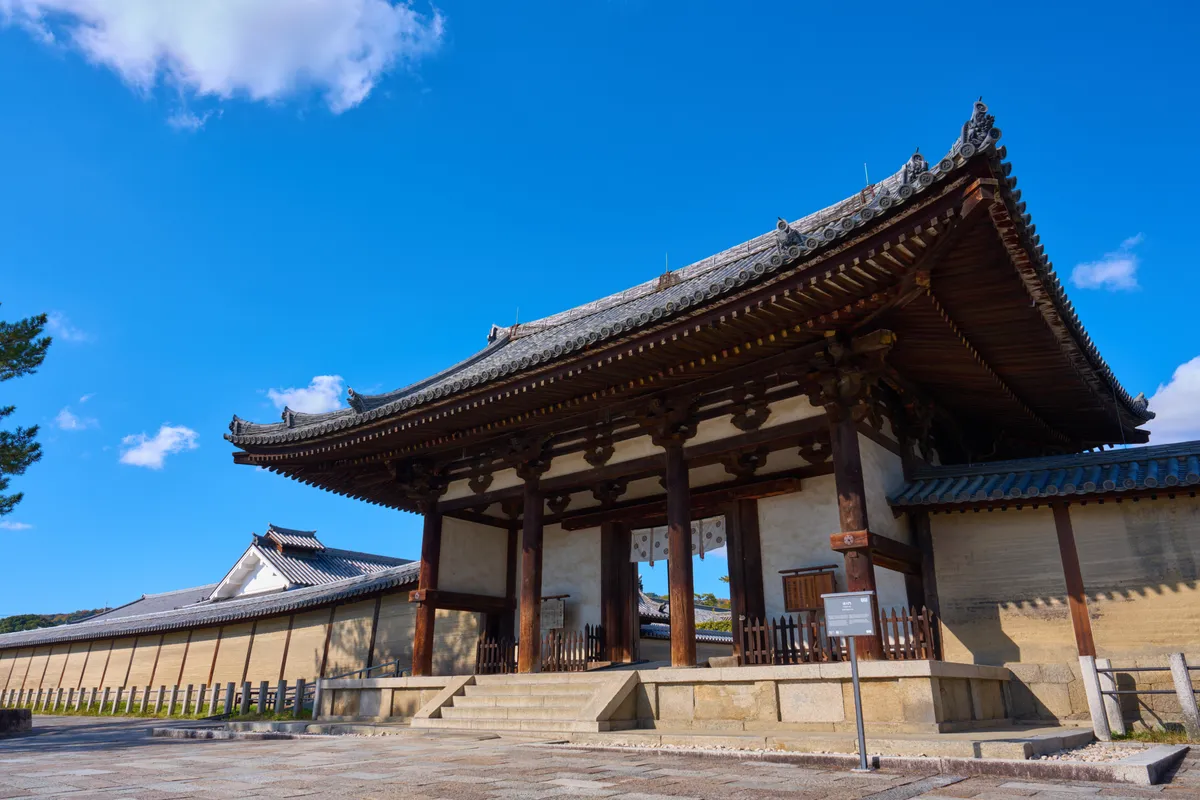Horyu-ji (2025) | Nara | Landscapes of Japan