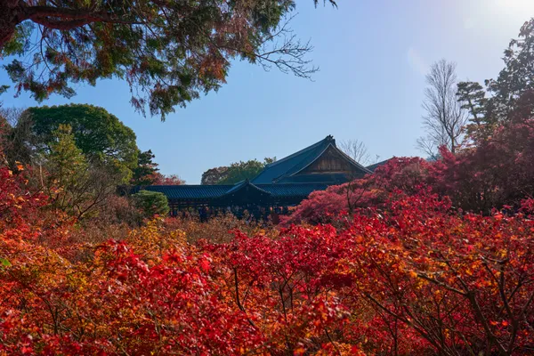 東福寺 - 京都府