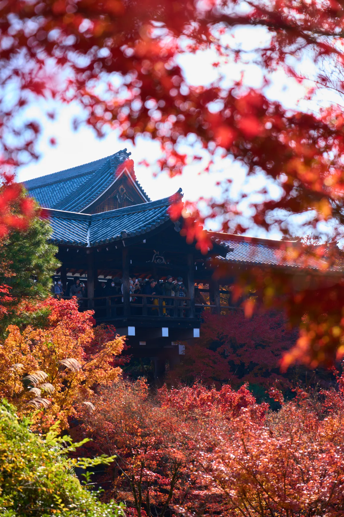 Tofuku-ji (2025) | Kyoto | Landscapes of Japan
