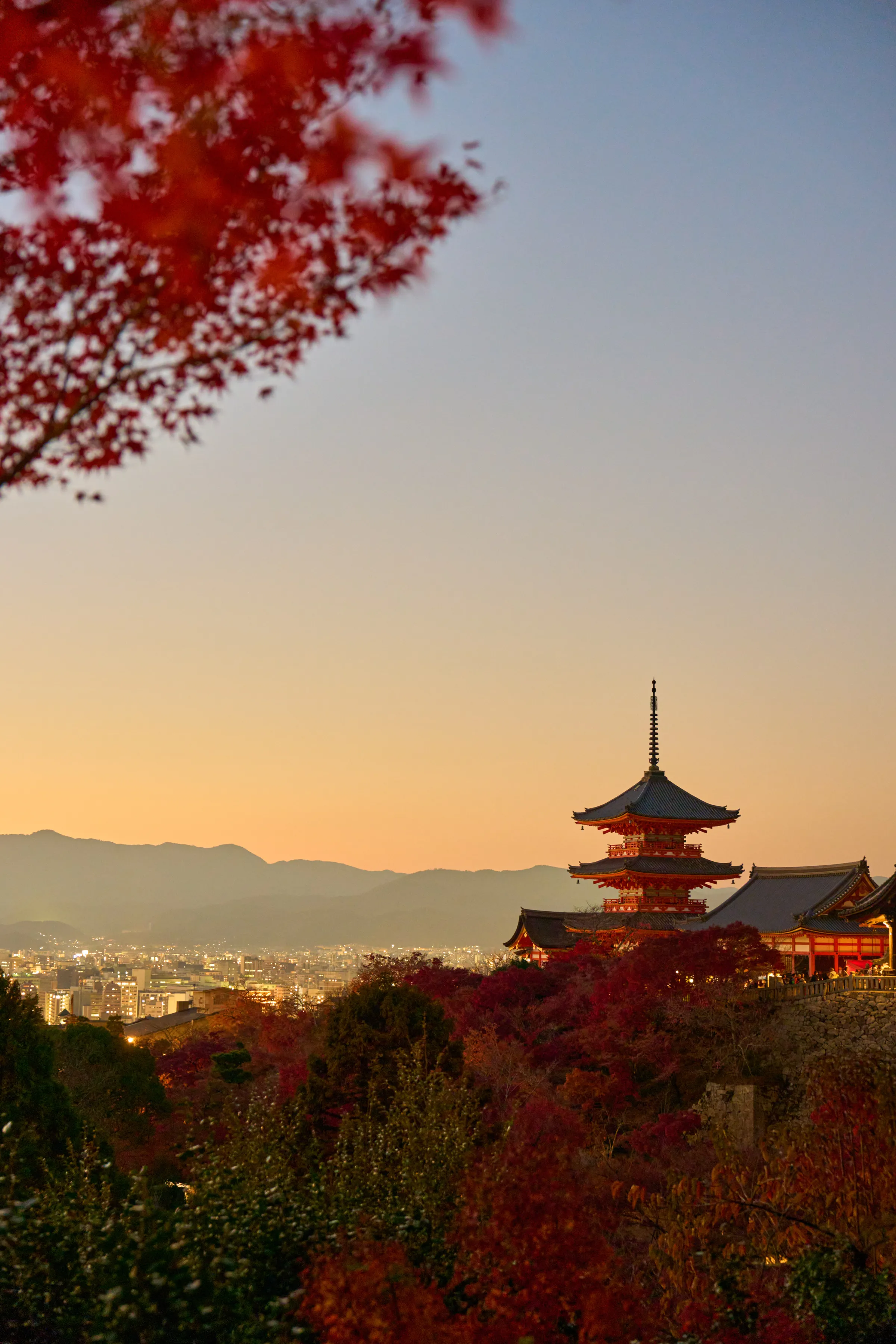 清水寺 (2025) | 京都府 | Landscapes of Japan