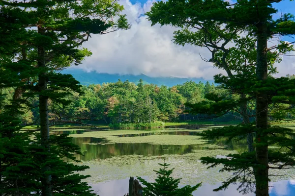 Shiretoko - Hokkaido