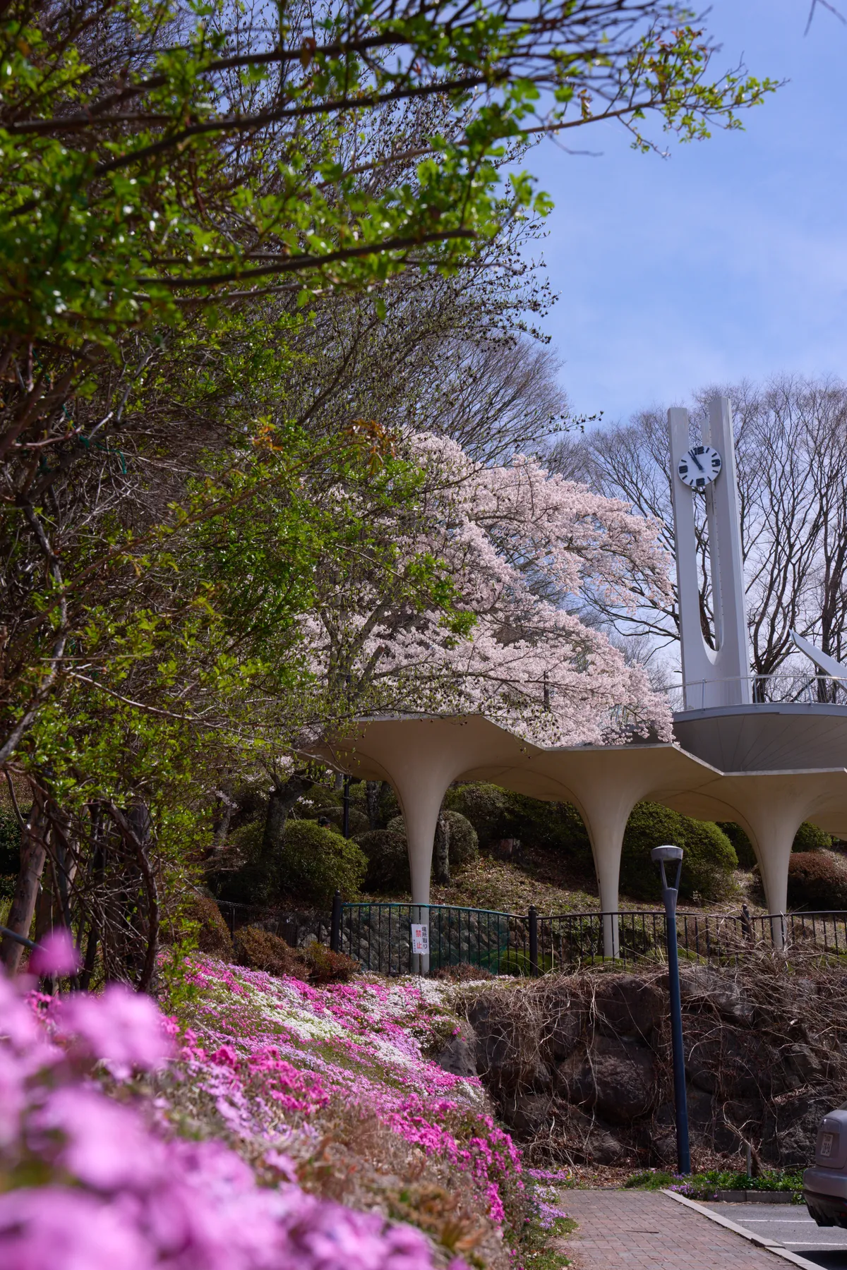 Tateishi-Park (2026) | Nagano | Landscapes of Japan