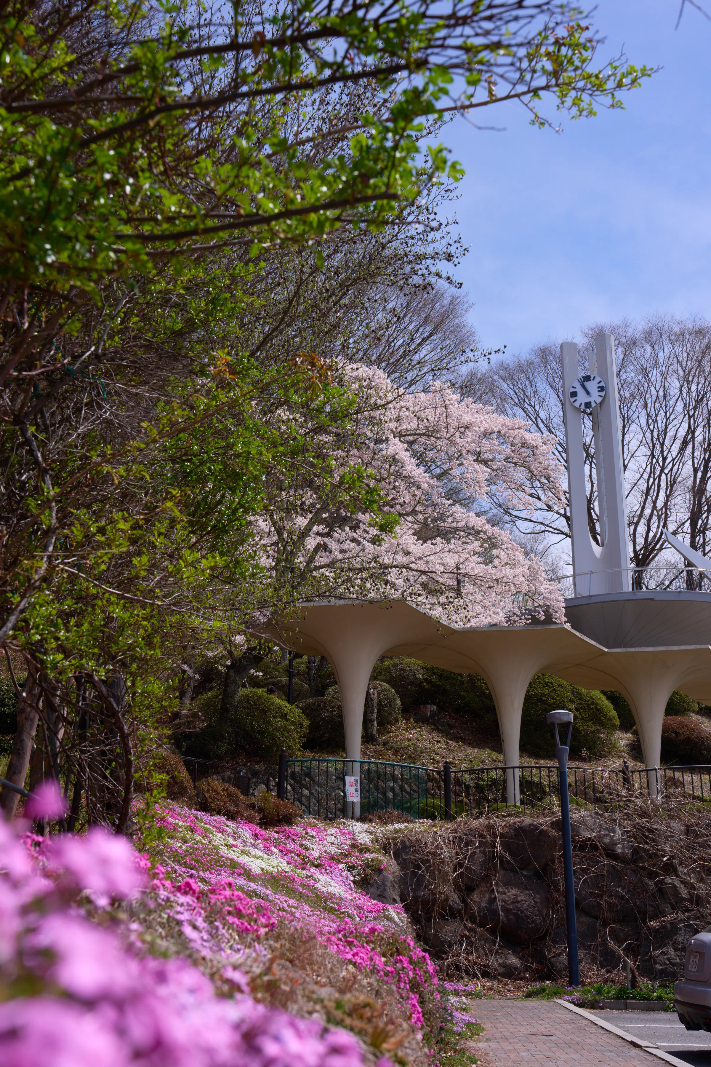 立石公園 (2026) | 長野県 | Landscapes of Japan