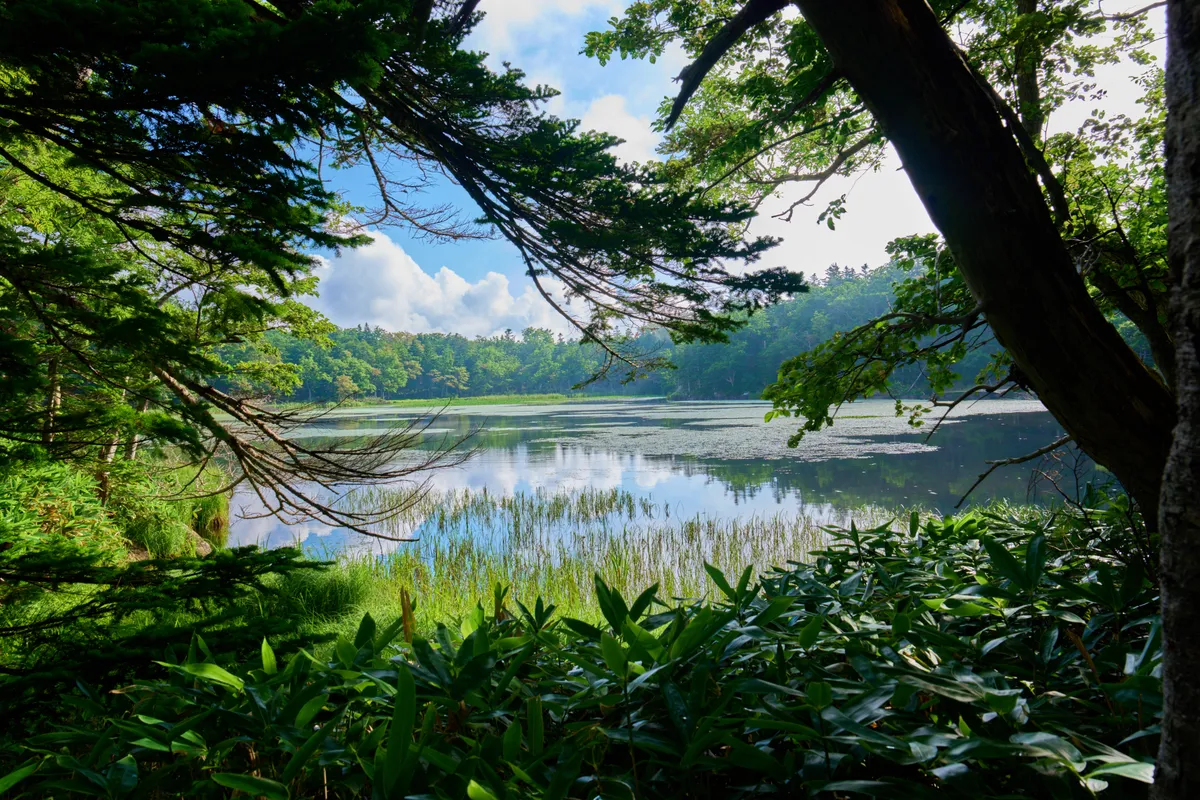Shiretoko - Hokkaido | #Mountain