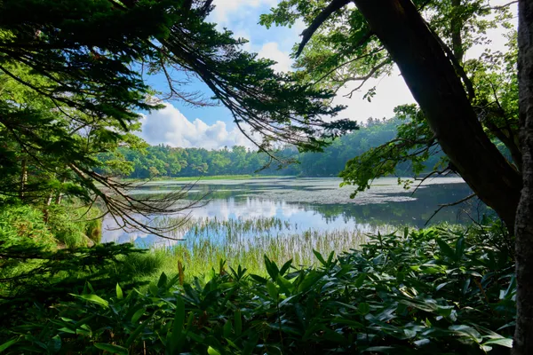 Shiretoko - Hokkaido