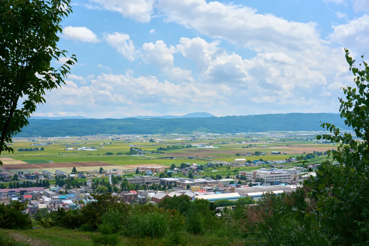 Furano - Hokkaido | #Macro