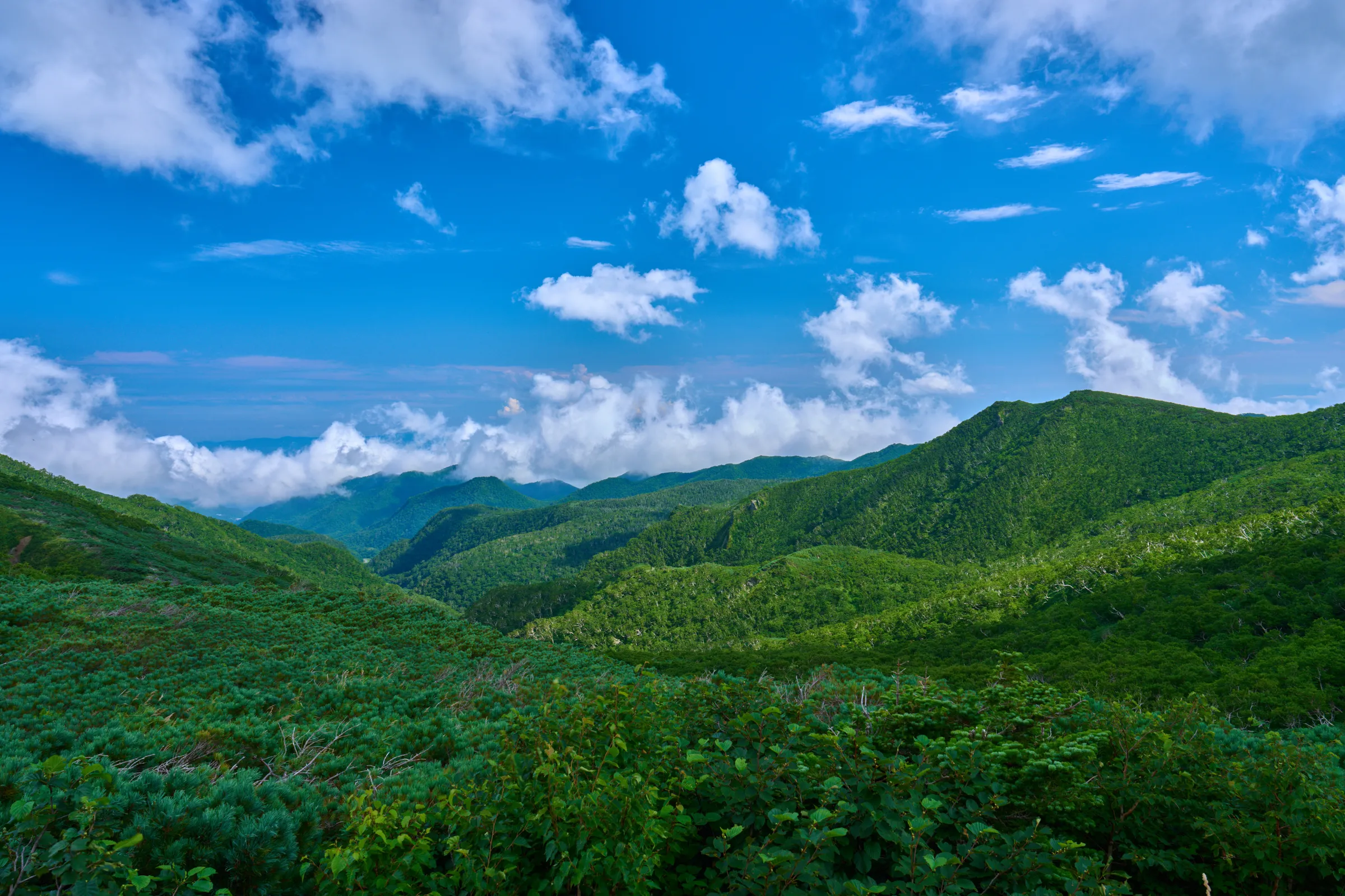 知床 (2025) | 北海道 | Landscapes of Japan
