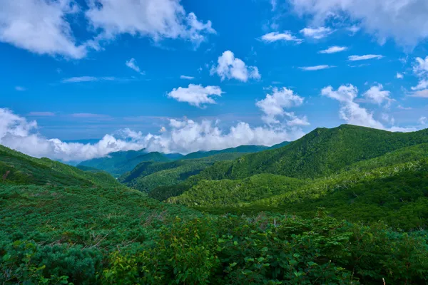 Shiretoko - Hokkaido