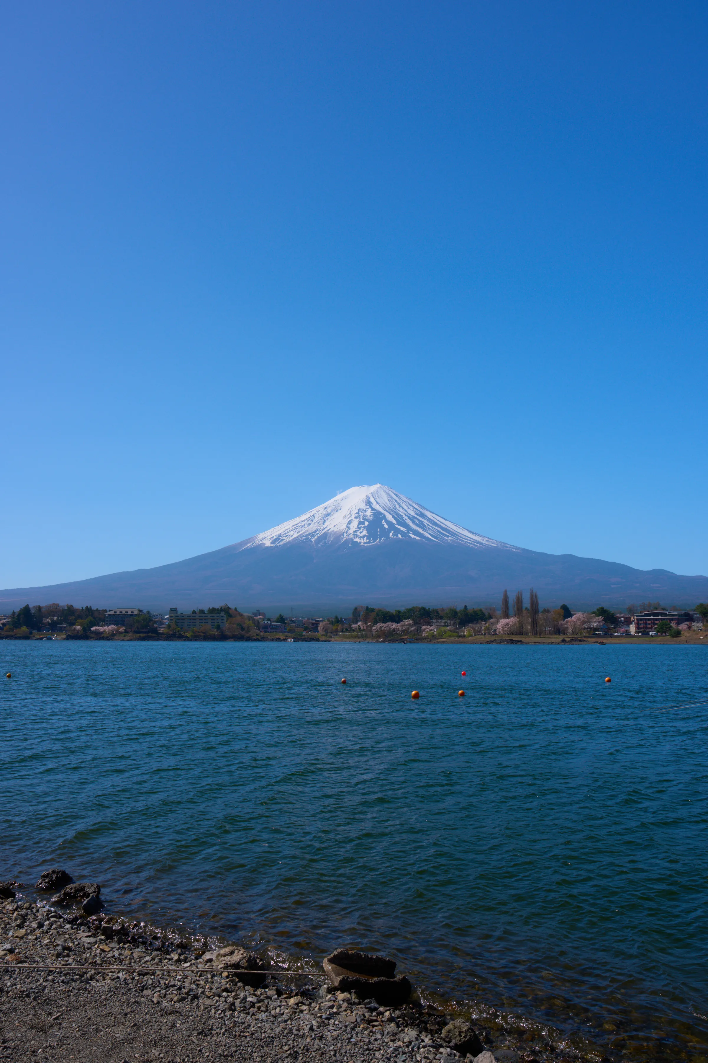 河口湖 (2026) | 山梨県 | Landscapes of Japan