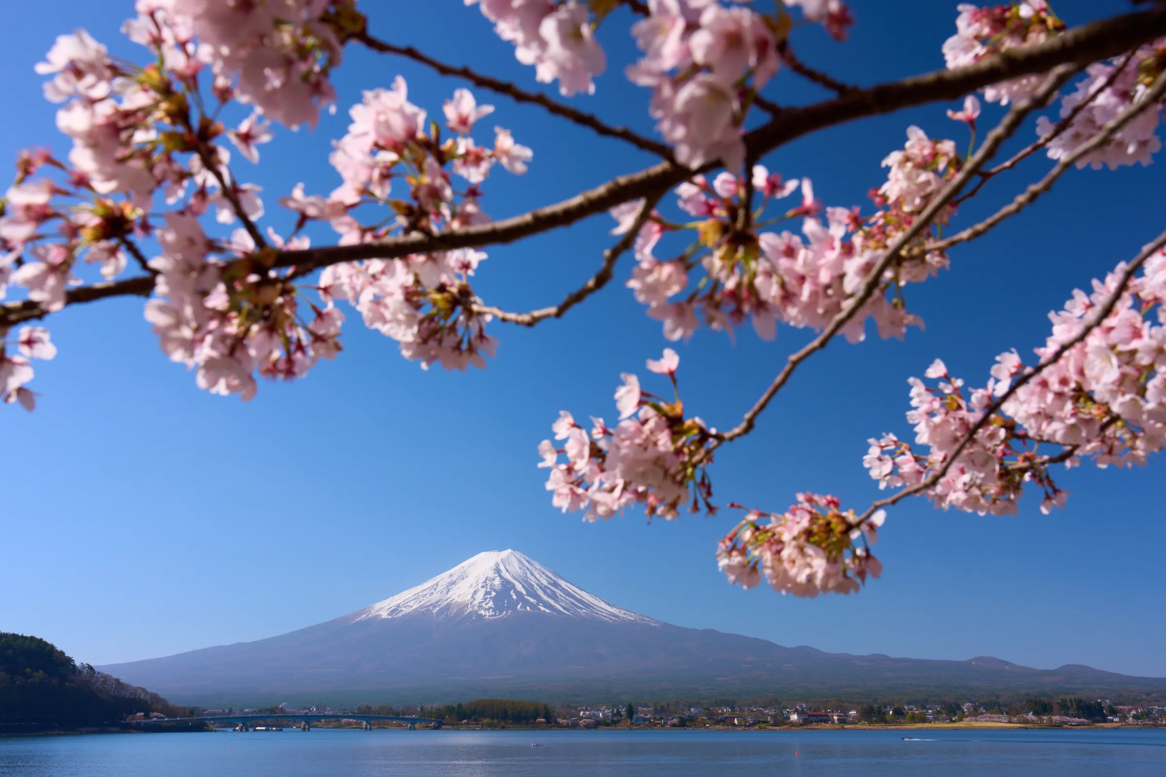 河口湖 (2026) | 山梨県 | Landscapes of Japan