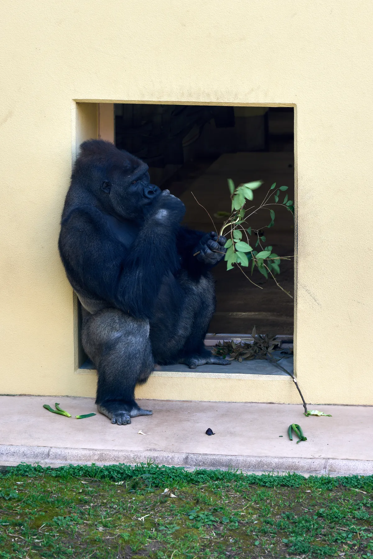 Higashiyama Zoo (2026) | Aichi | Landscapes of Japan