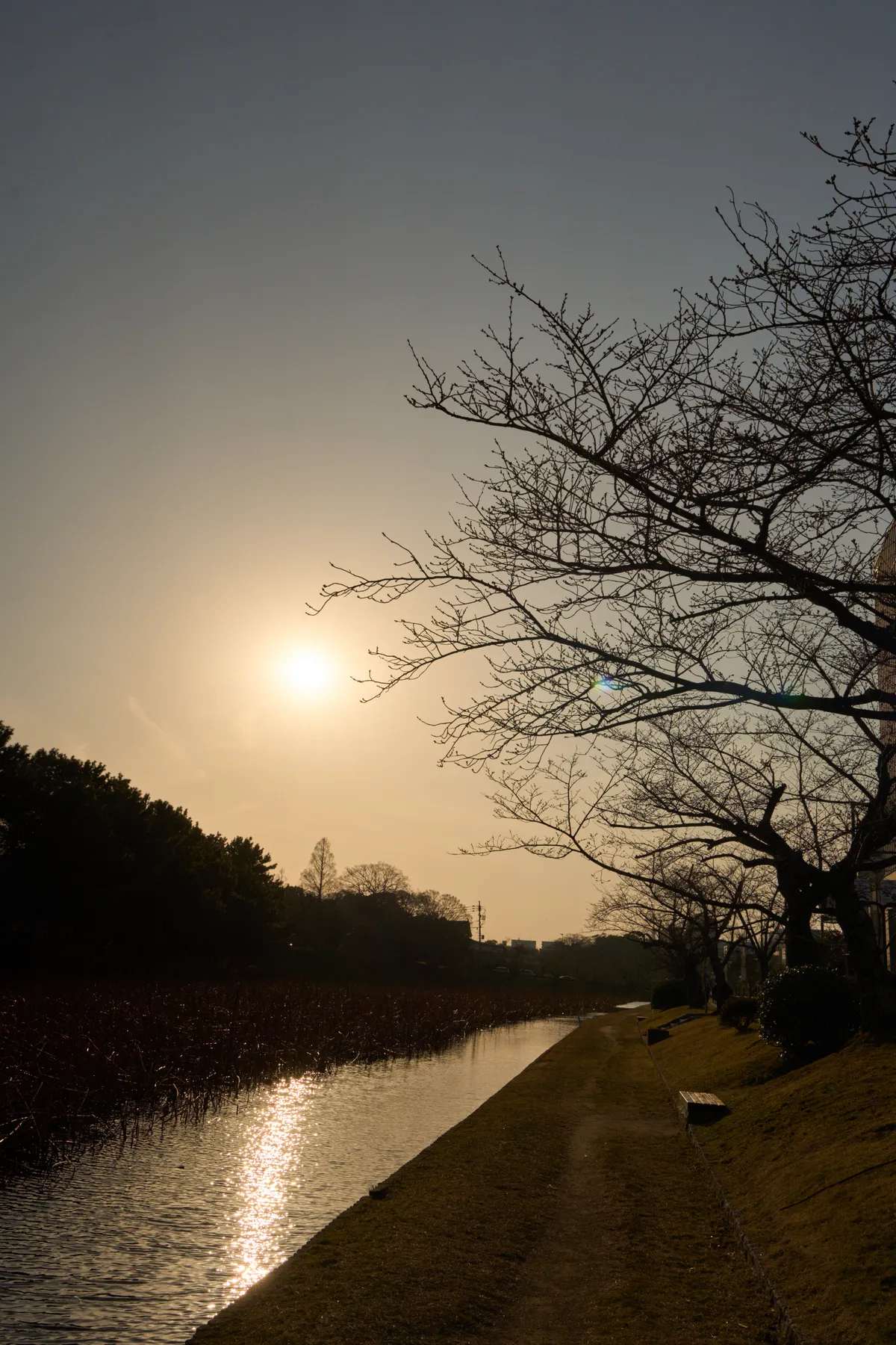 Fukuoka (2025) | Fukuoka | Landscapes of Japan