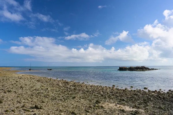 Ishigaki Island - Okinawa | Coastal