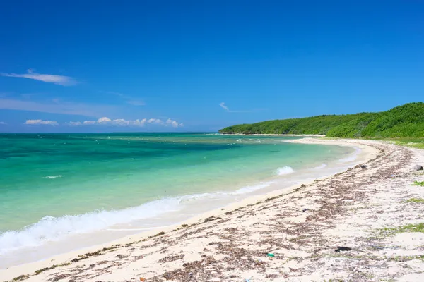 Taketomi Island (2026) | Okinawa | Landscapes of Japan