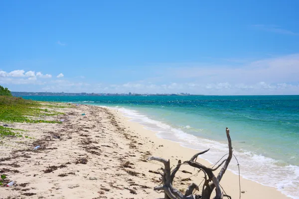 Taketomi Island (2026) | Okinawa | Landscapes of Japan