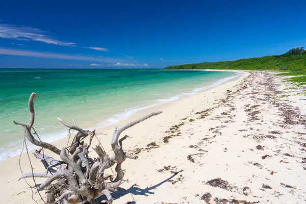 Taketomi Island (2026) | Okinawa | Landscapes of Japan
