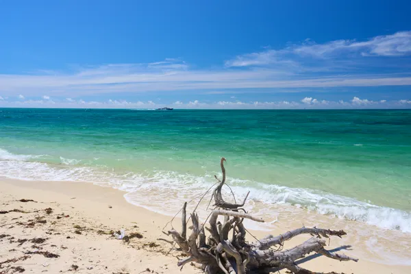 Taketomi Island (2026) | Okinawa | Landscapes of Japan