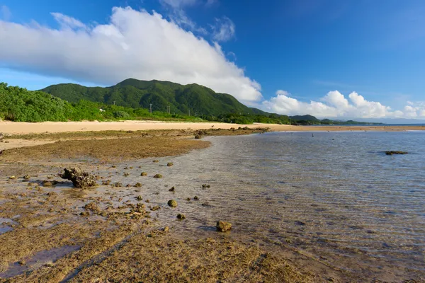 Ishigaki Island - Okinawa | Coastal