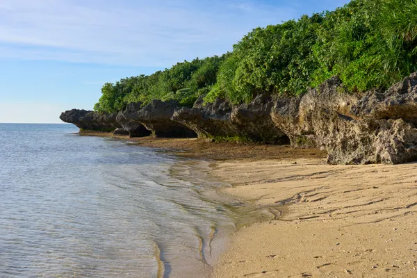 Ishigaki Island - Okinawa | Coastal