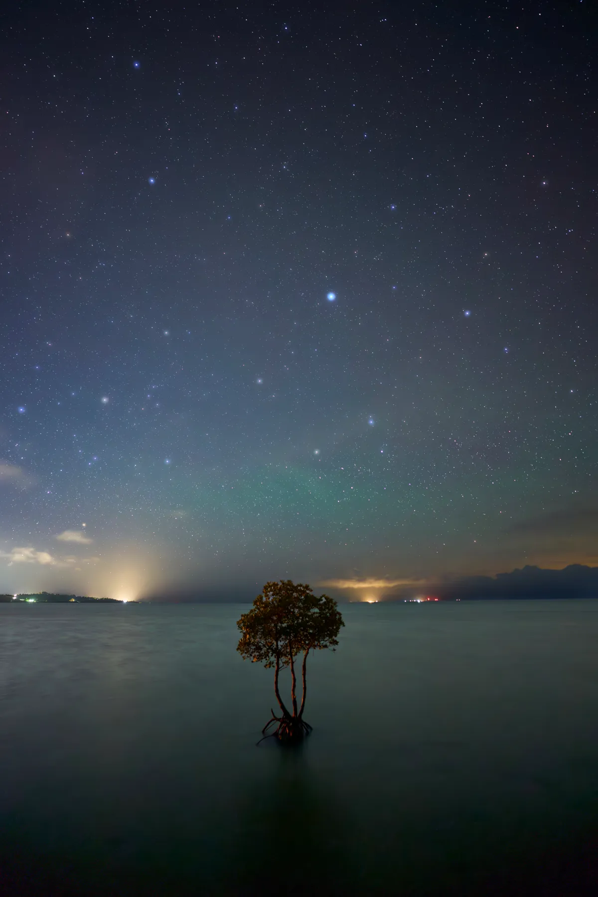 石垣島 (2026) | 沖縄県 | Landscapes of Japan