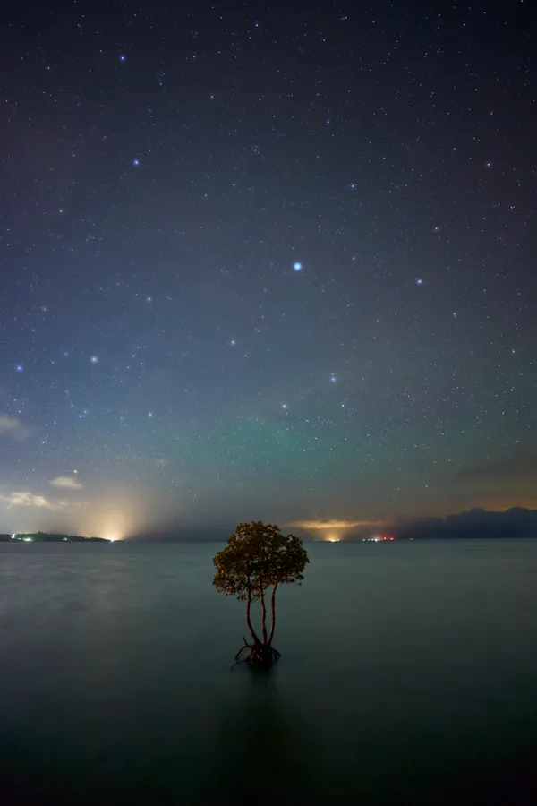 Ishigaki Island - Okinawa | Night Views