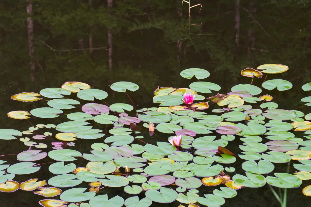 Kusatsu Onsen (2026) | Gunma | Landscapes of Japan
