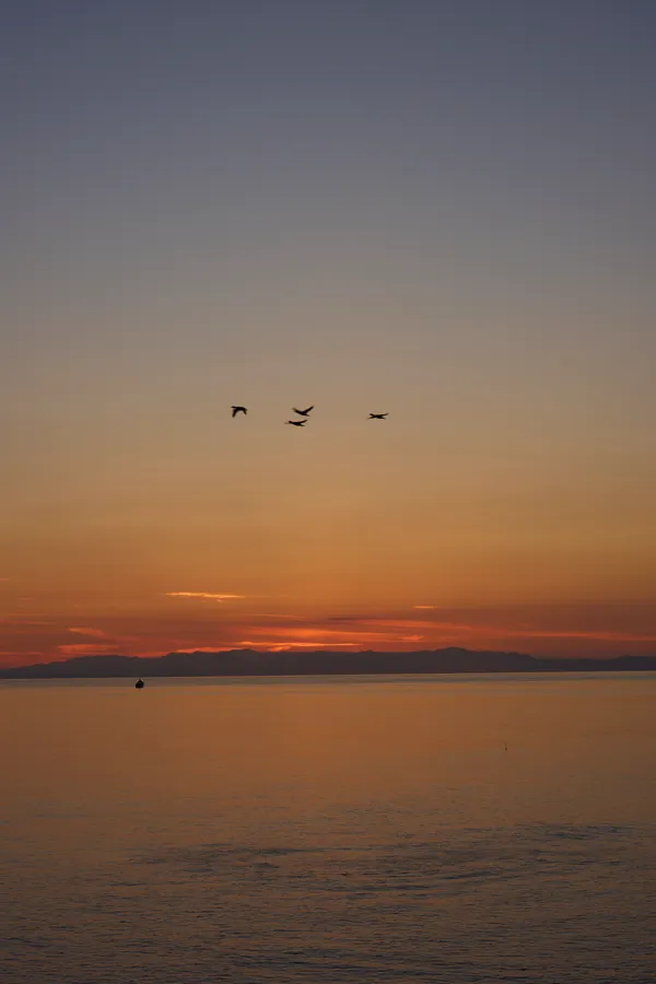 Coastal | Landscapes of Japan