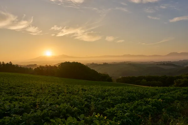 Biei (2026) | Hokkaido | Landscapes of Japan