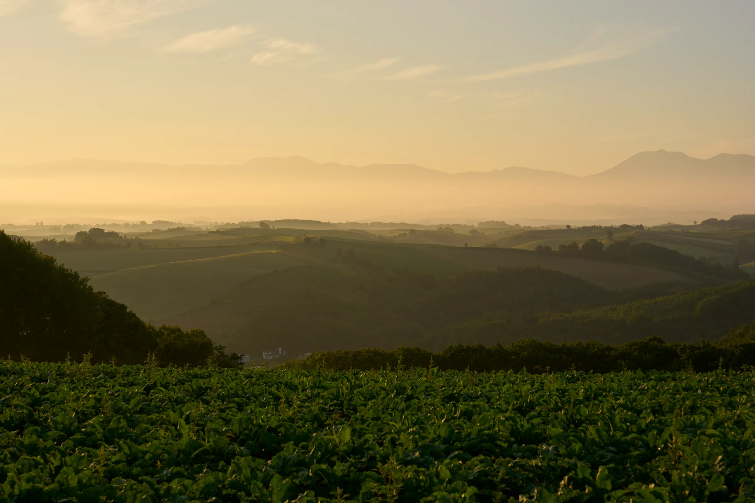 Biei (2026) | Hokkaido | Landscapes of Japan
