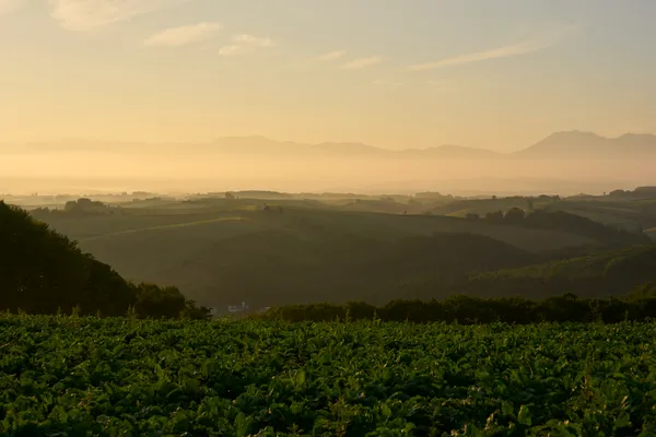 Biei (2026) | Hokkaido | Landscapes of Japan