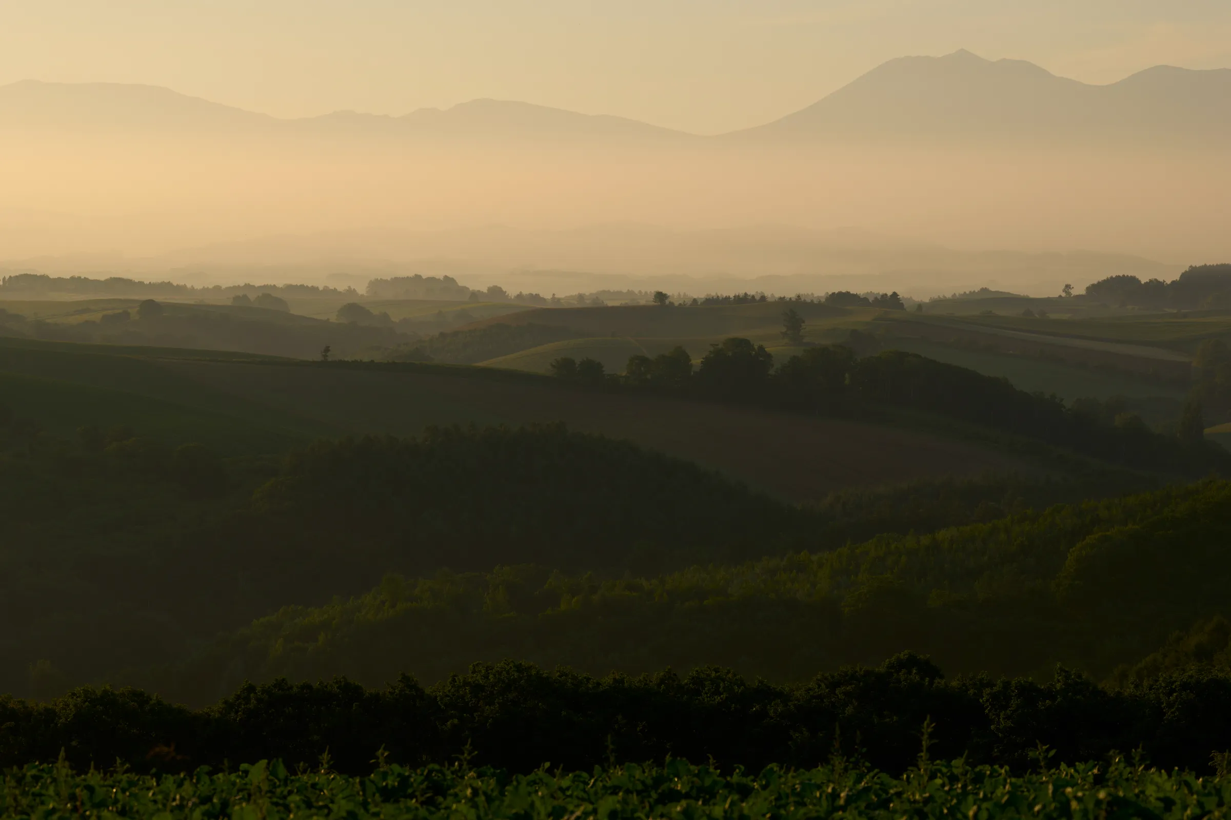 Biei (2026) | Hokkaido | Landscapes of Japan