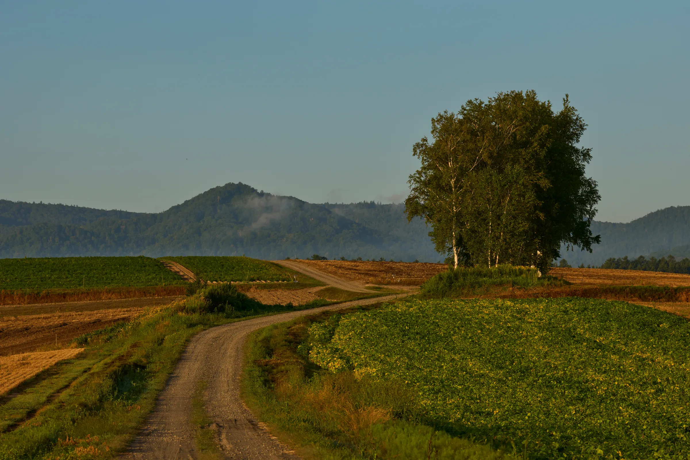 Biei (2026) | Hokkaido | Landscapes of Japan