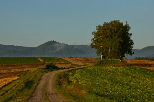 Biei (2026) | Hokkaido | Landscapes of Japan