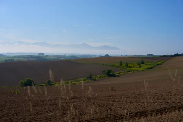 Biei (2026) | Hokkaido | Landscapes of Japan