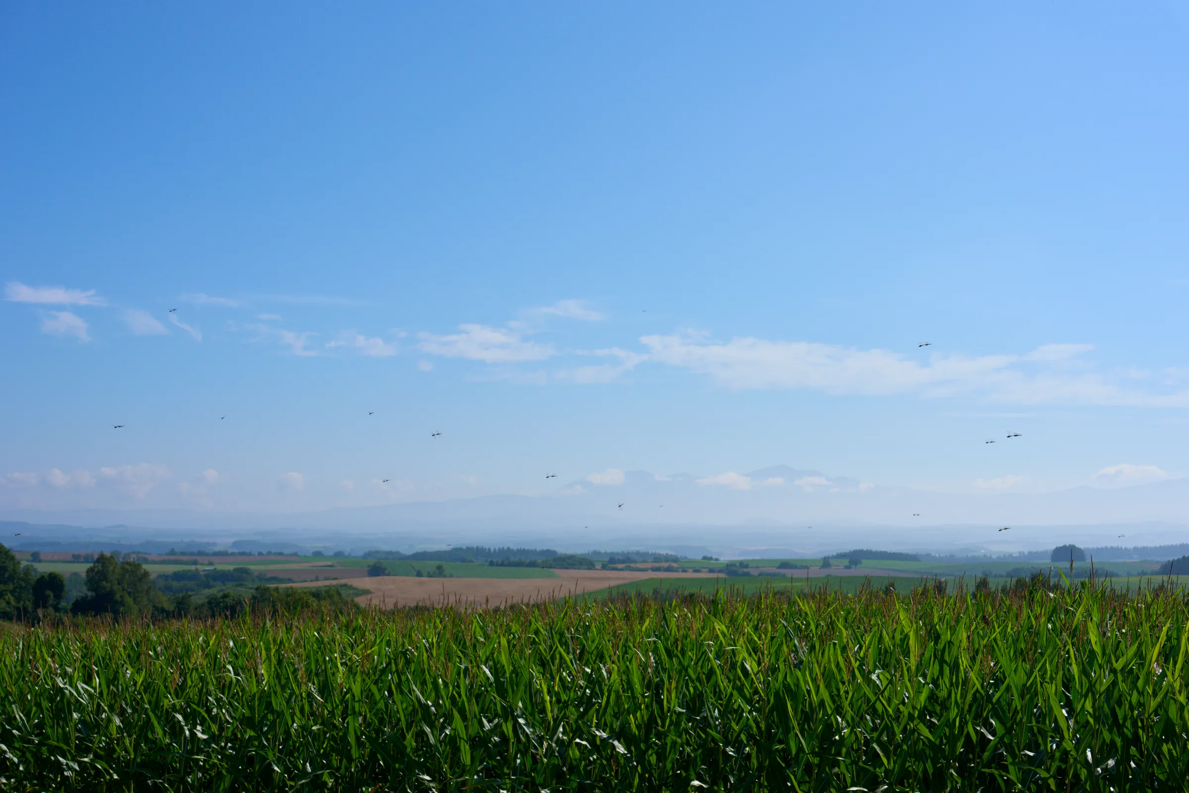 Biei (2026) | Hokkaido | Landscapes of Japan