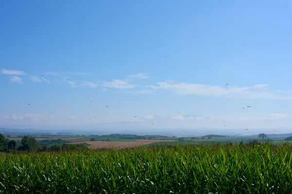 Biei (2026) | Hokkaido | Landscapes of Japan