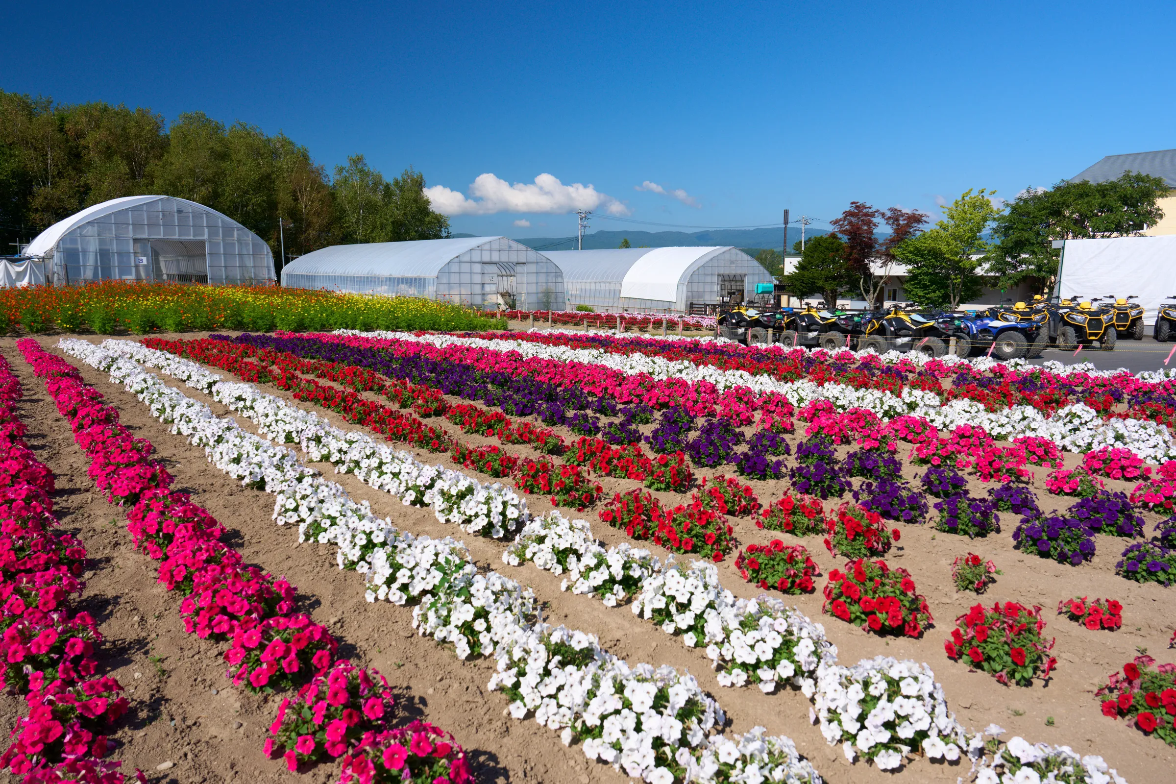 Biei (2026) | Hokkaido | Landscapes of Japan