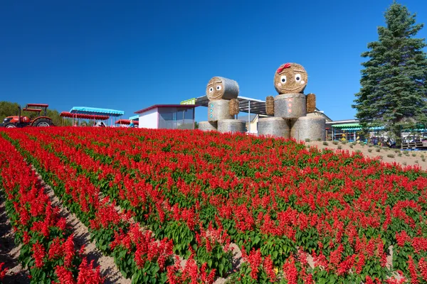 Biei (2026) | Hokkaido | Landscapes of Japan