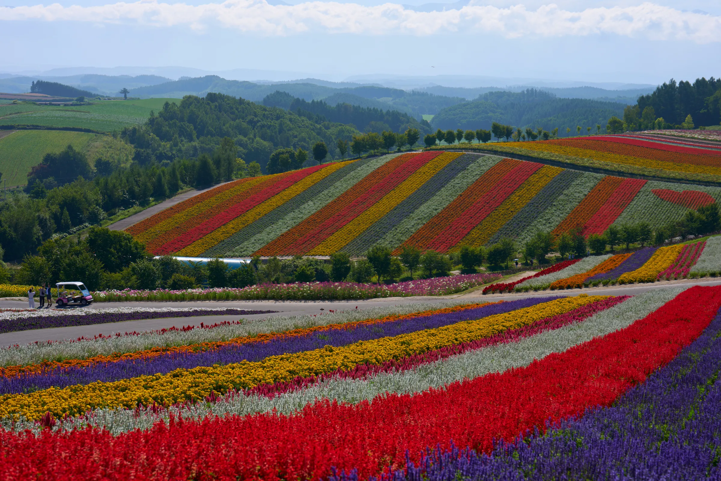 Biei (2026) | Hokkaido | Landscapes of Japan