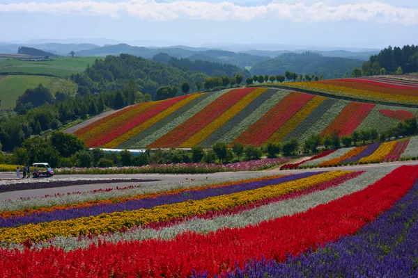 Biei (2026) | Hokkaido | Landscapes of Japan