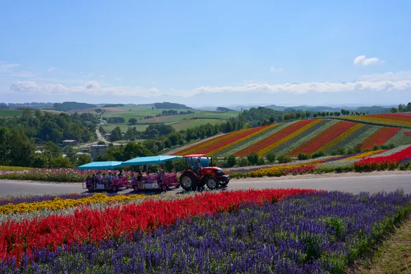 Biei (2026) | Hokkaido | Landscapes of Japan