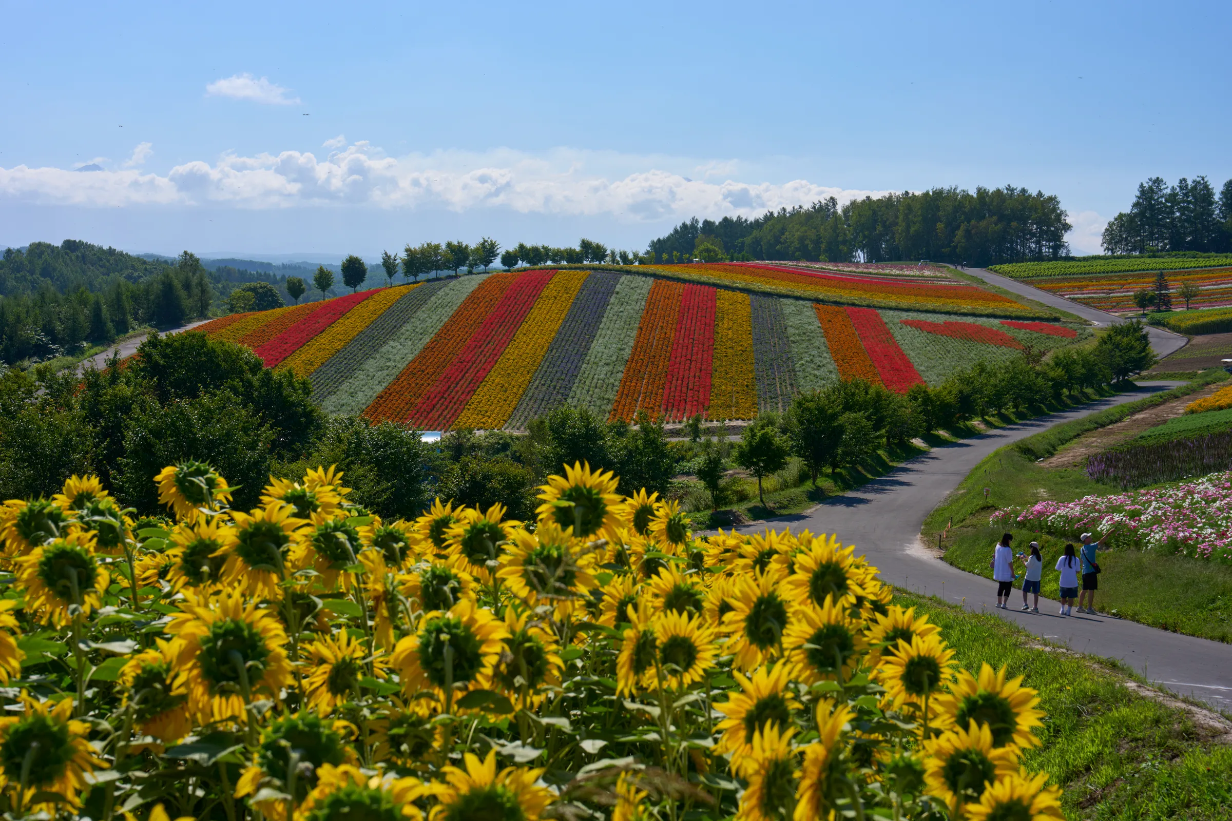 Biei (2026) | Hokkaido | Landscapes of Japan