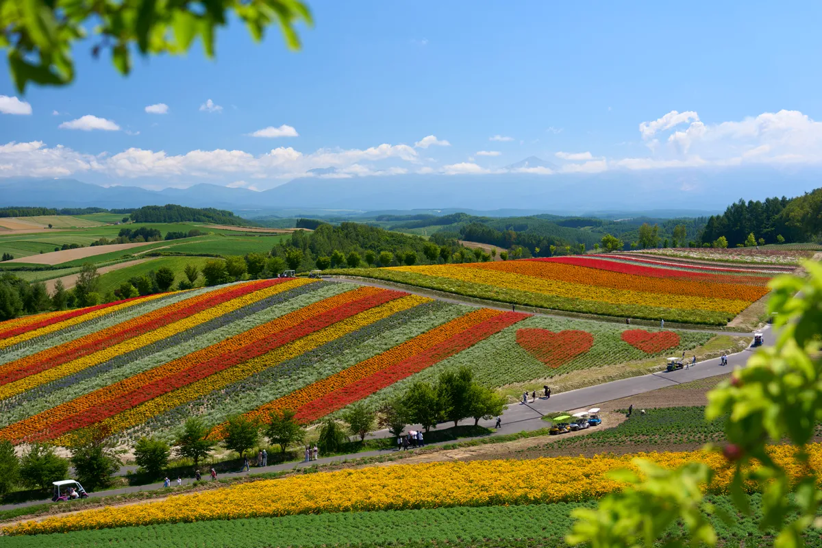 Biei (2026) | Hokkaido | Landscapes of Japan