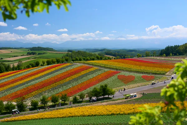 Biei (2026) | Hokkaido | Landscapes of Japan