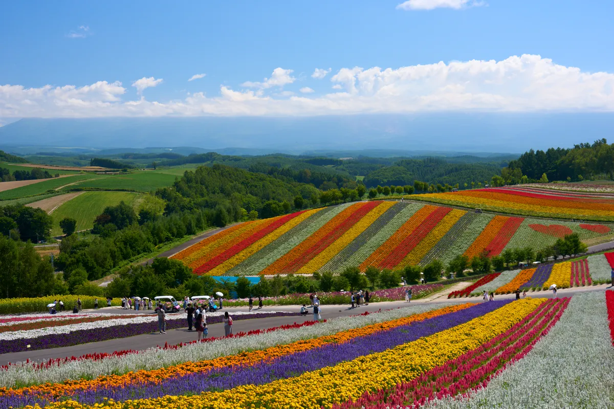 Biei (2026) | Hokkaido | Landscapes of Japan