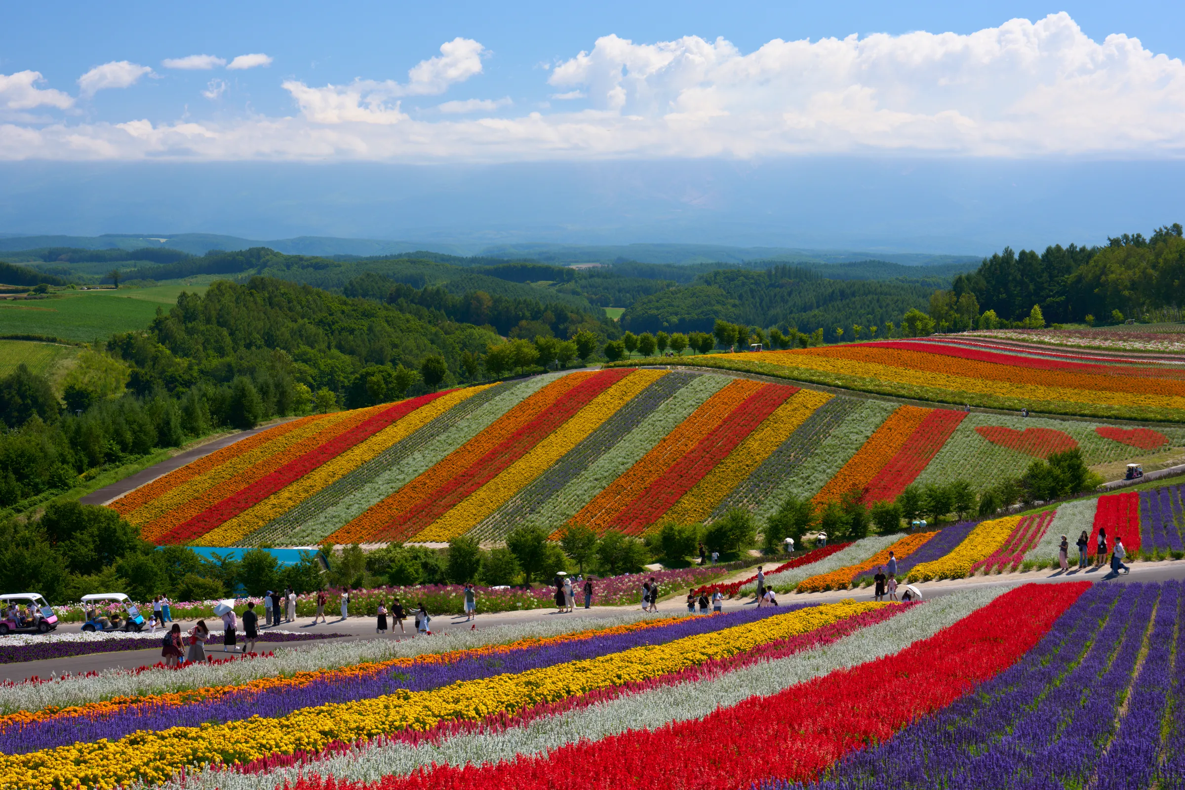 Biei (2026) | Hokkaido | Landscapes of Japan