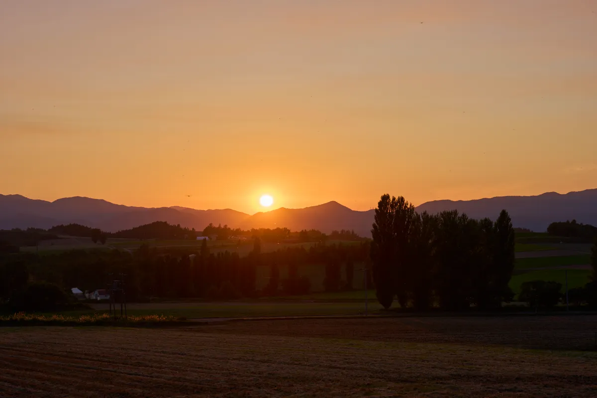 Furano (2026) — Lavender + Flower Fields | Hokkaido | Landscapes of Japan