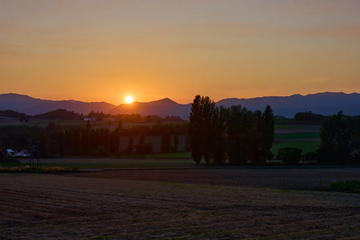Furano (2026) — Lavender + Flower Fields | Hokkaido | Landscapes of Japan