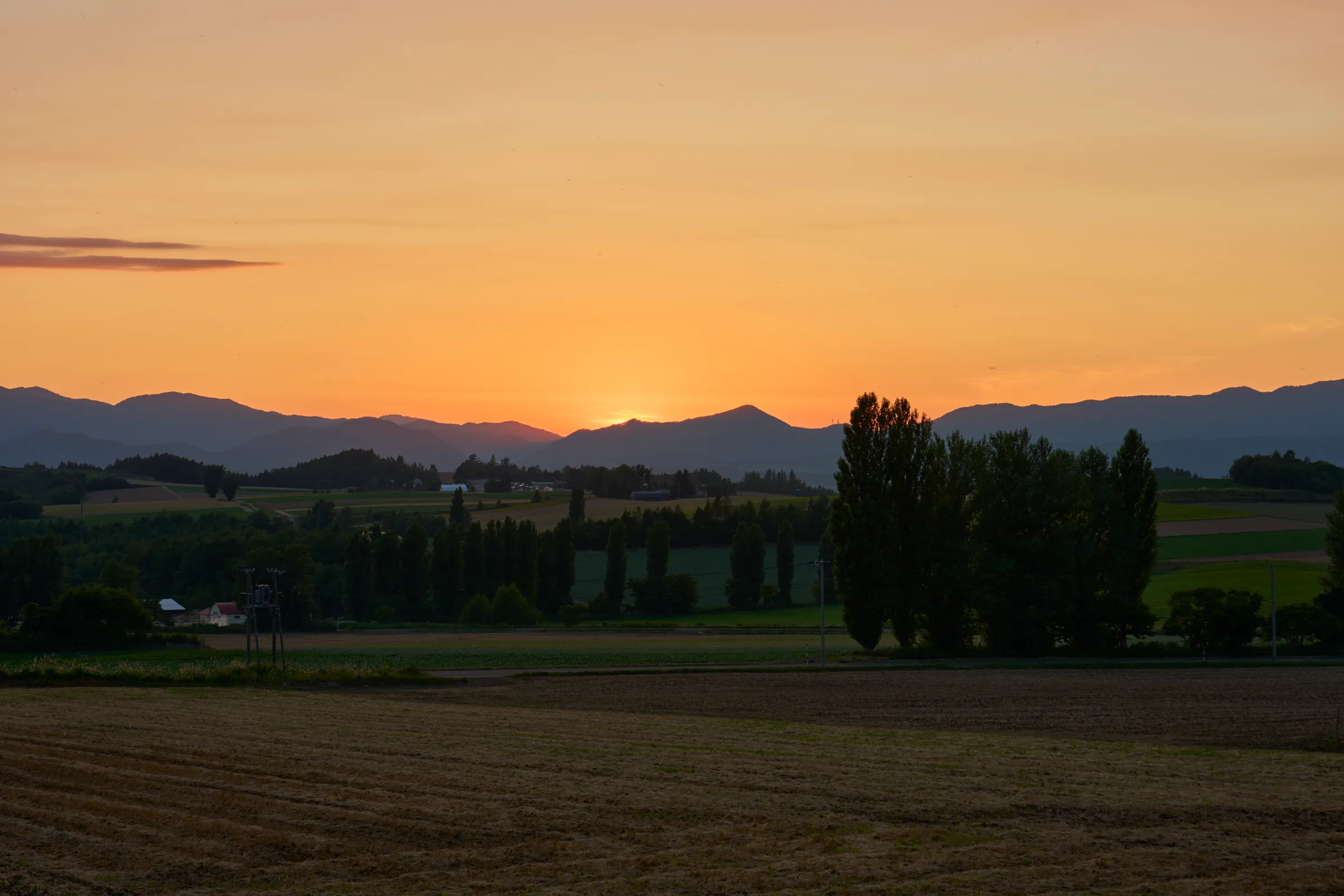 Furano (2026) — Lavender + Flower Fields | Hokkaido | Landscapes of Japan