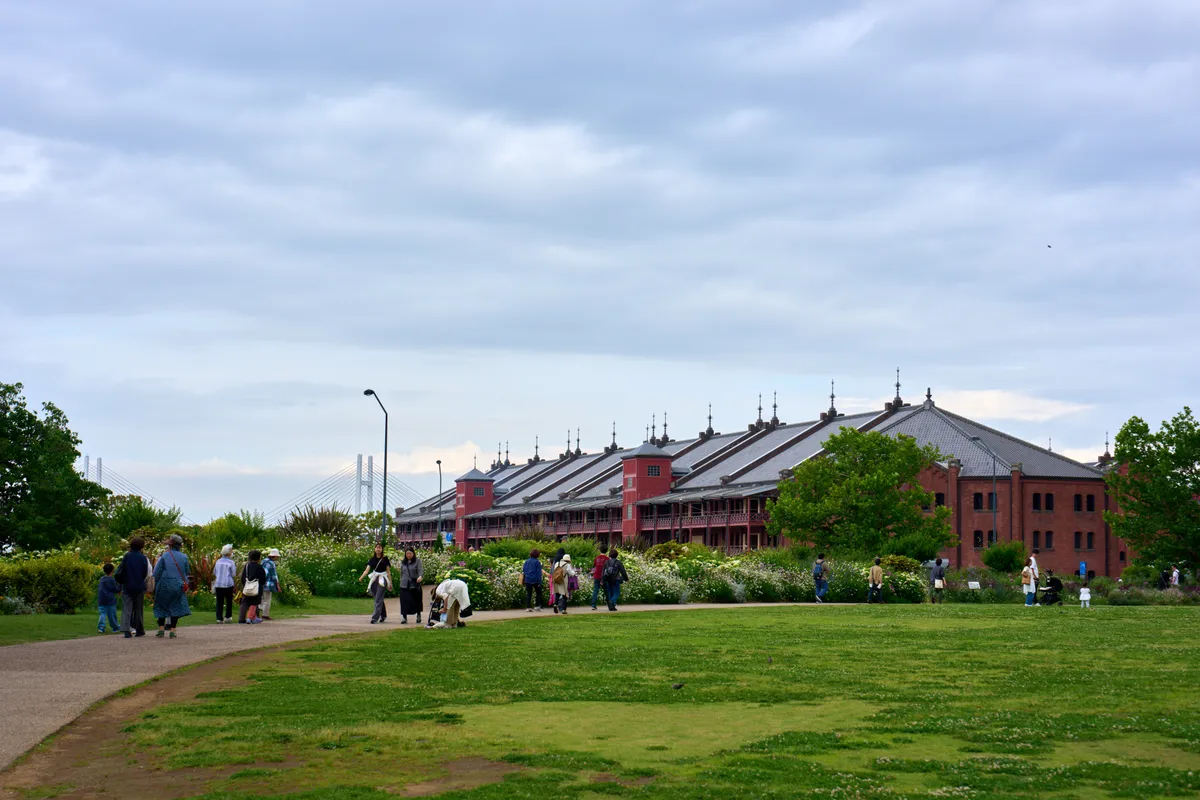 Yokohama (2025) | Kanagawa | Landscapes of Japan